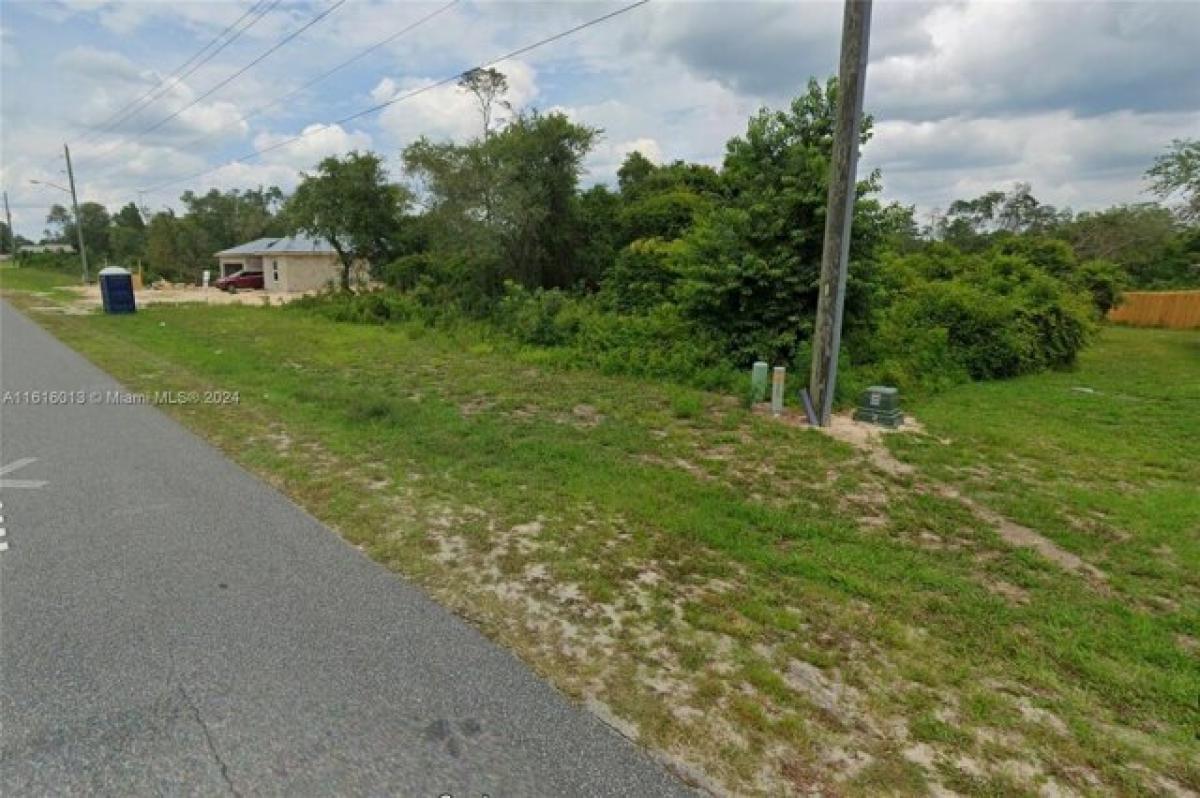 Picture of Residential Land For Sale in Ocala, Florida, United States
