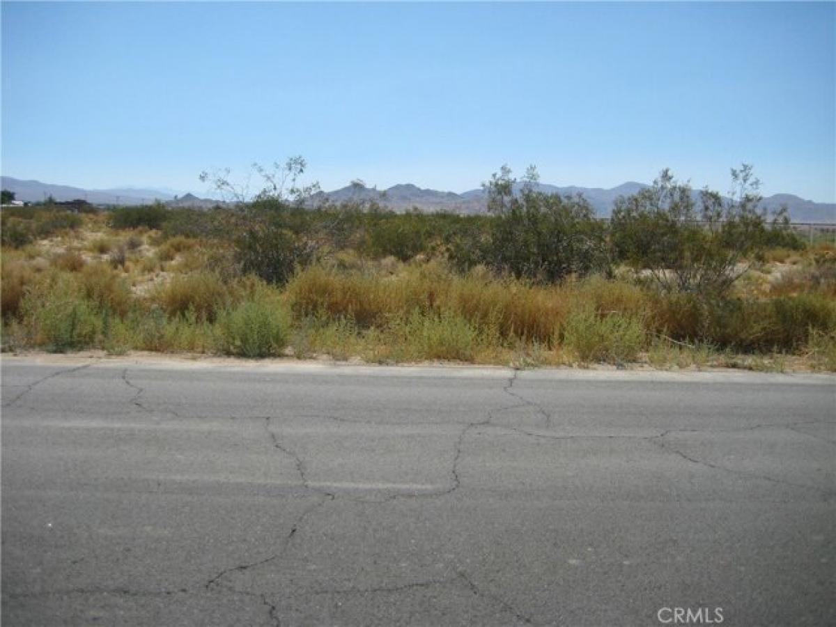 Picture of Residential Land For Sale in Lucerne Valley, California, United States