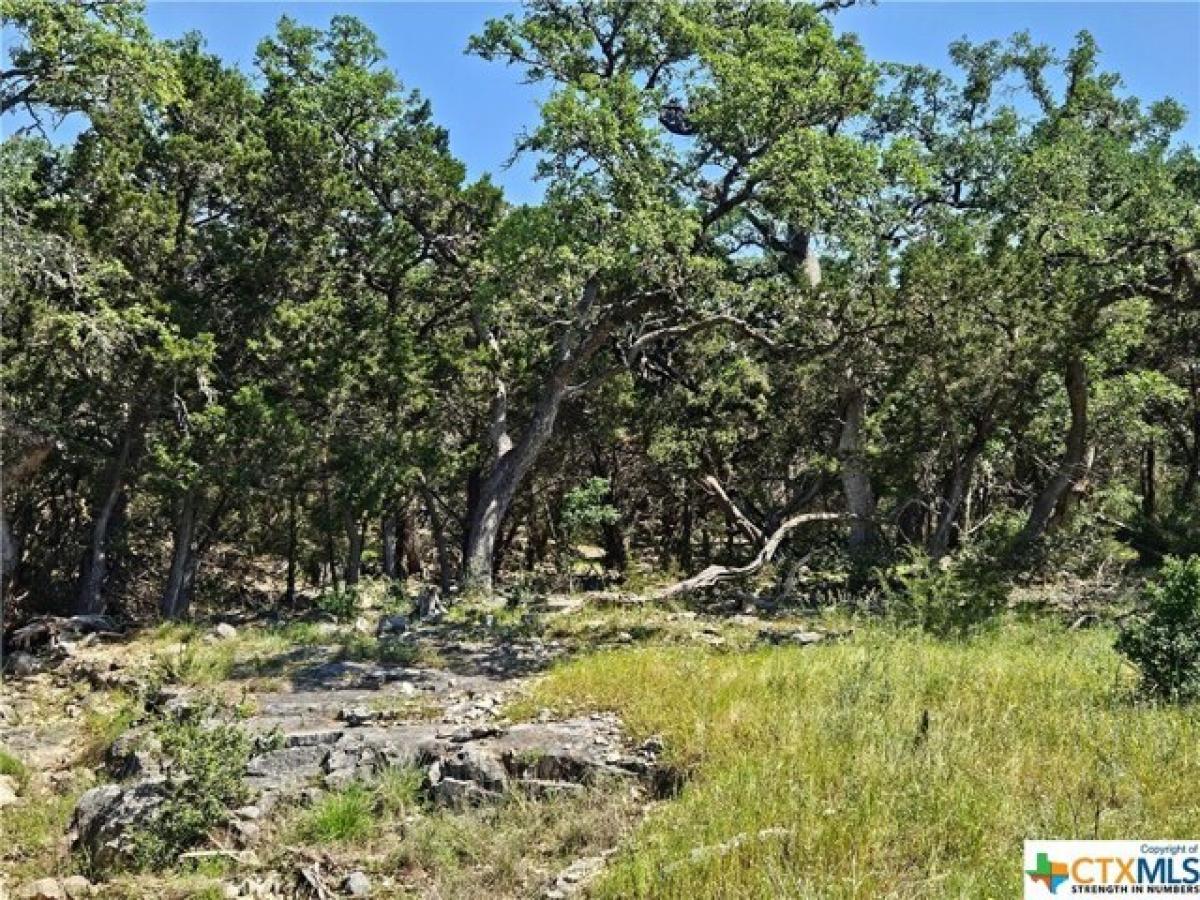 Picture of Residential Land For Sale in New Braunfels, Texas, United States