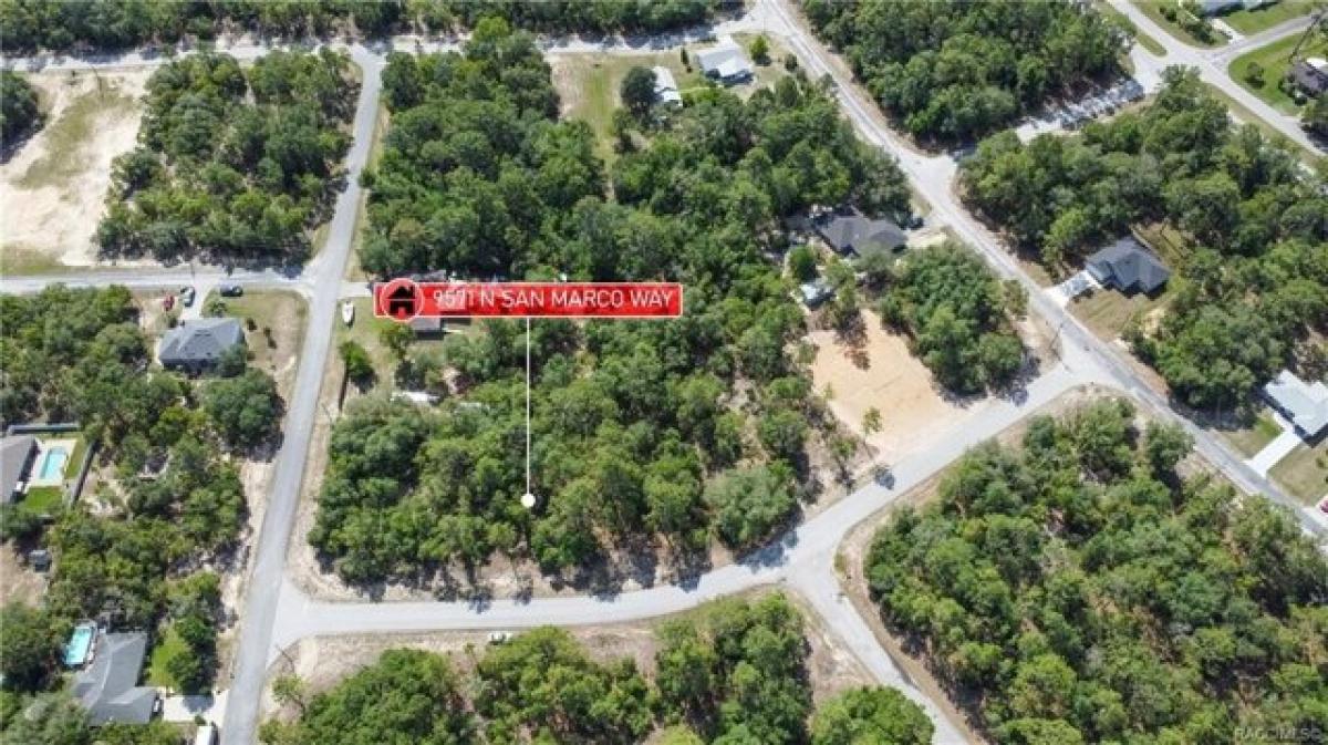 Picture of Residential Land For Sale in Citrus Springs, Florida, United States