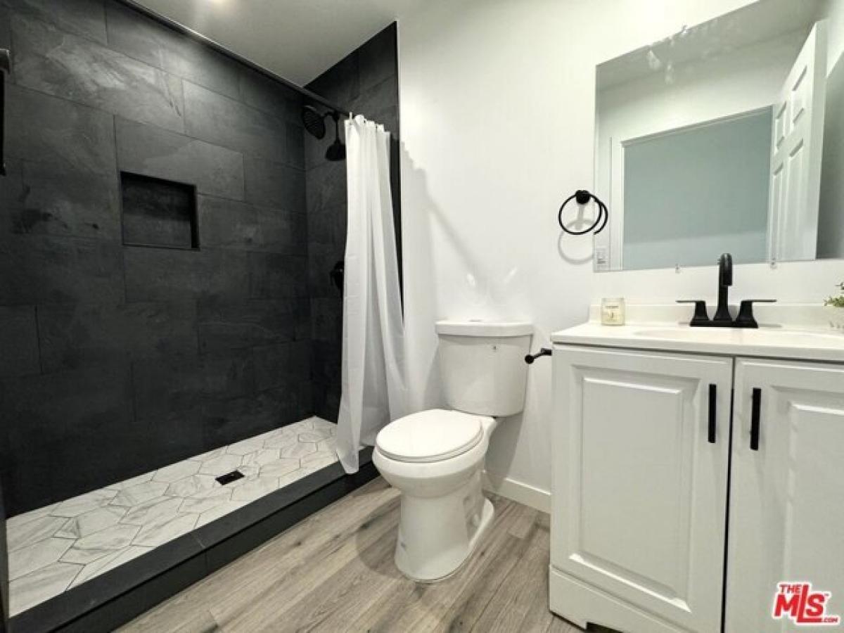 Picture of Apartment For Rent in Los Angeles, California, United States