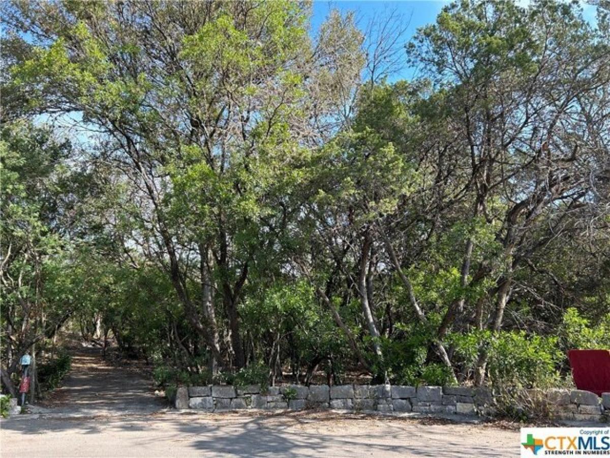Picture of Residential Land For Sale in New Braunfels, Texas, United States