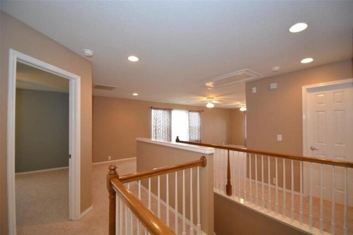 Picture of Home For Rent in Missouri City, Texas, United States