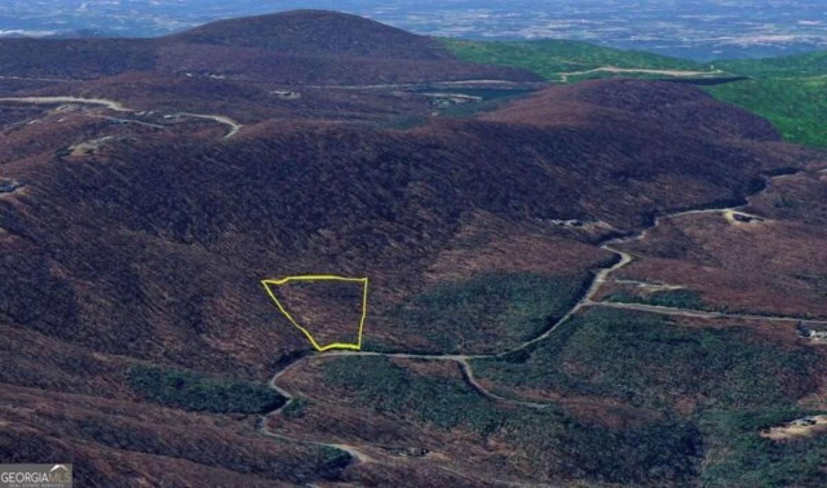 Picture of Residential Land For Sale in Ellijay, Georgia, United States