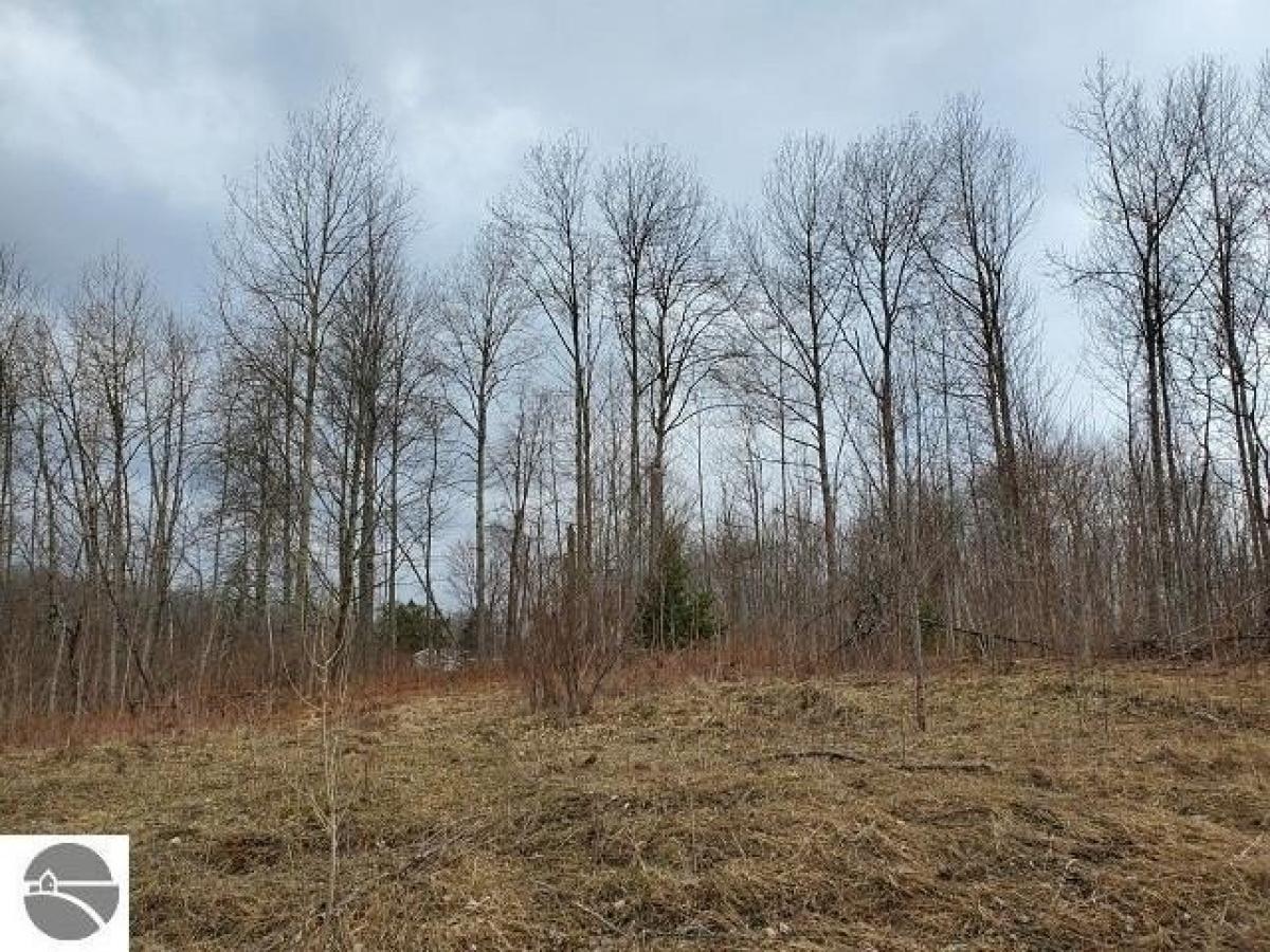 Picture of Residential Land For Rent in Hale, Michigan, United States