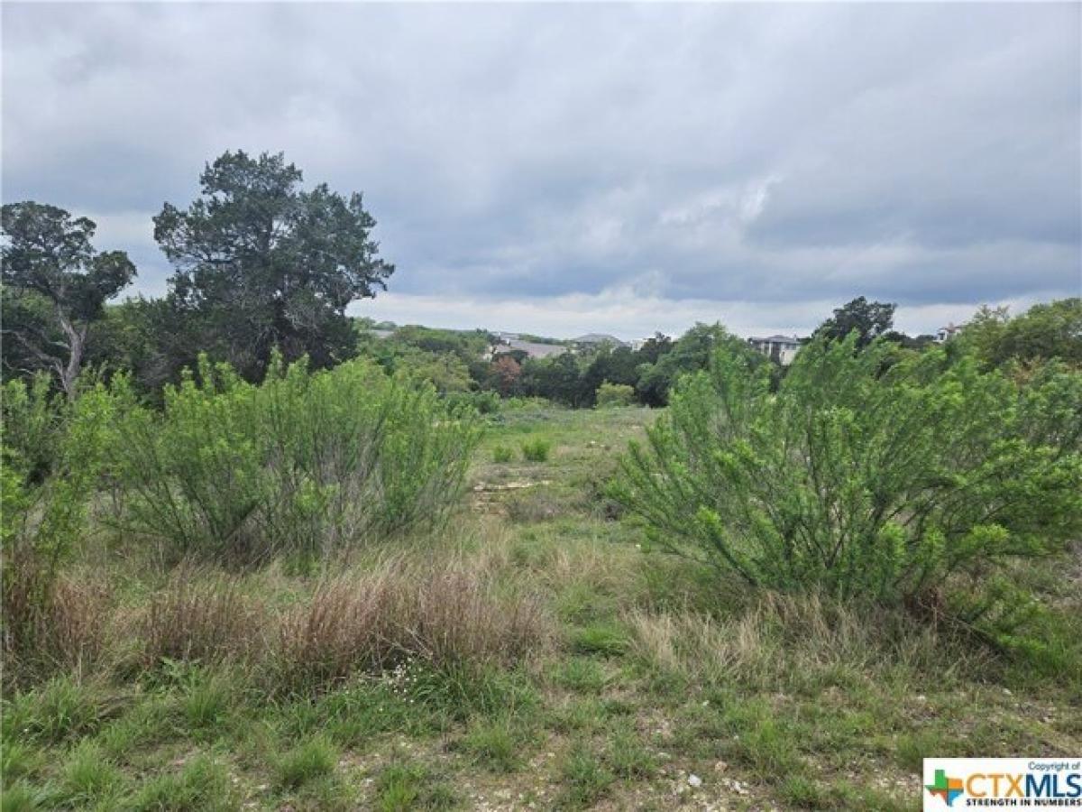 Picture of Residential Land For Sale in New Braunfels, Texas, United States