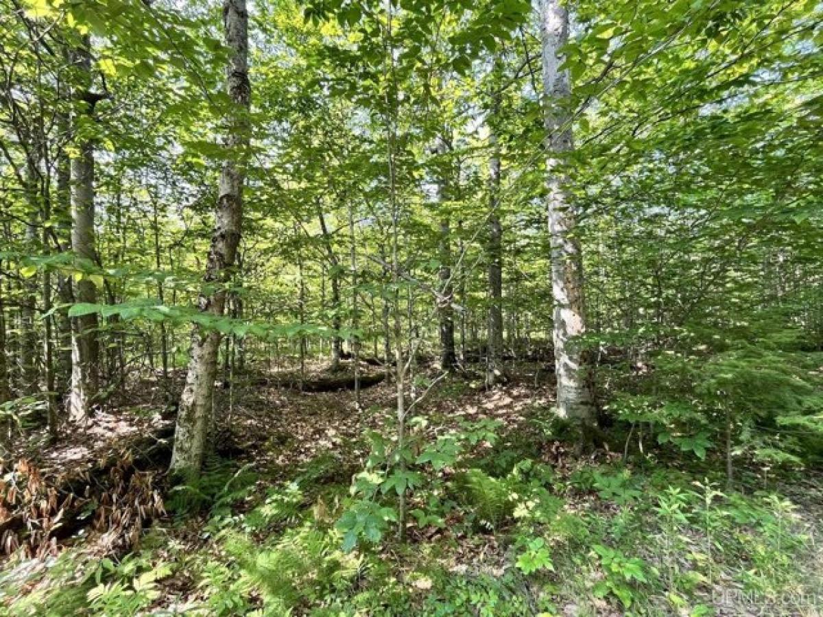 Picture of Residential Land For Sale in Germfask, Michigan, United States
