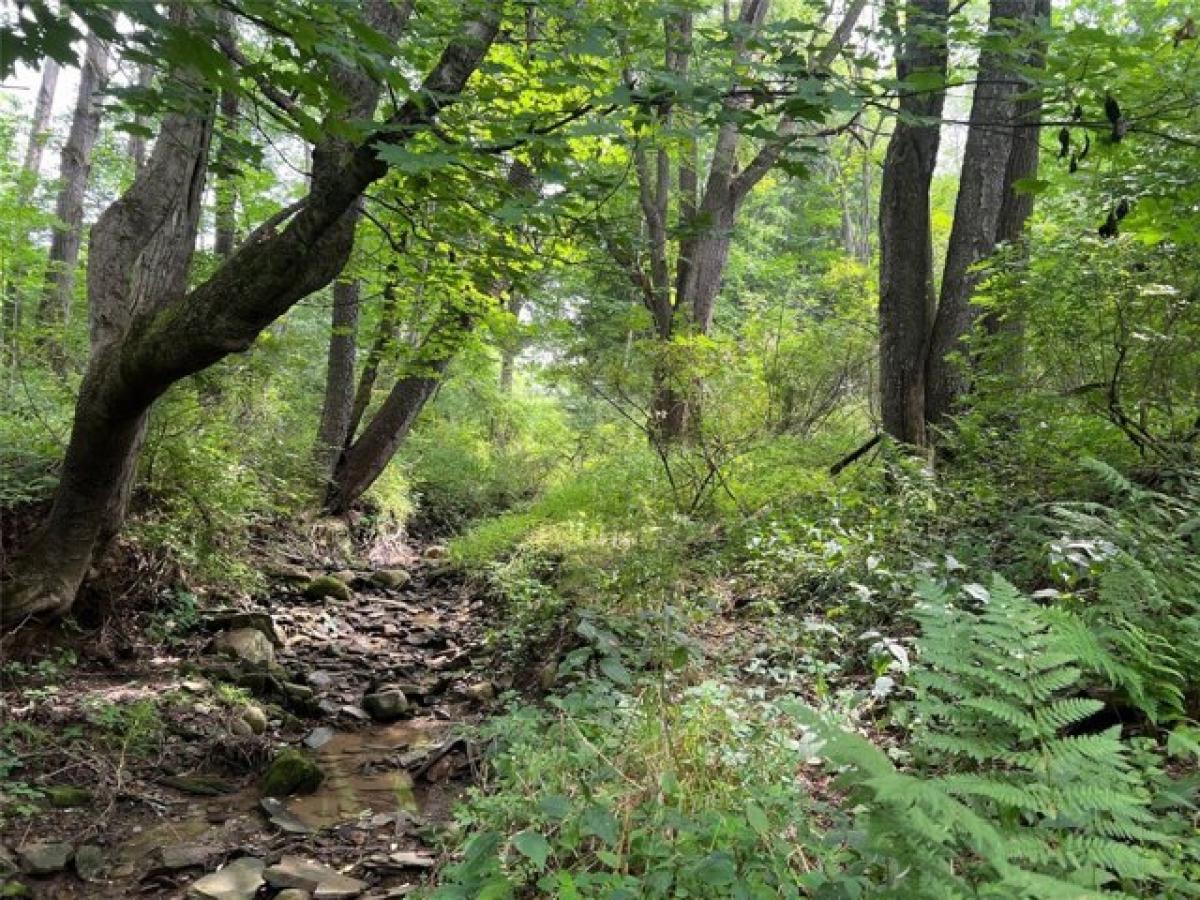 Picture of Residential Land For Rent in Waterford, Pennsylvania, United States