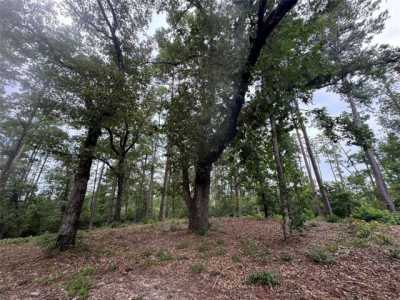 Residential Land For Sale in Brookeland, Texas