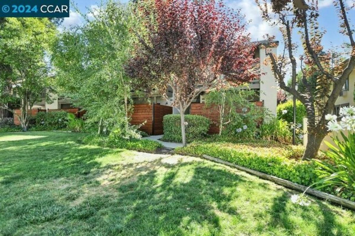 Picture of Home For Sale in Walnut Creek, California, United States