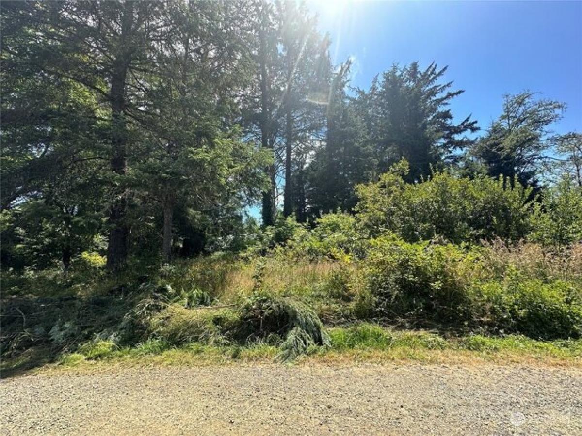 Picture of Residential Land For Sale in Long Beach, Washington, United States
