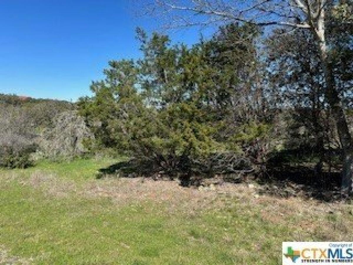 Picture of Residential Land For Sale in New Braunfels, Texas, United States