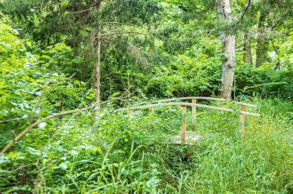 Picture of Home For Sale in McKinney, Texas, United States