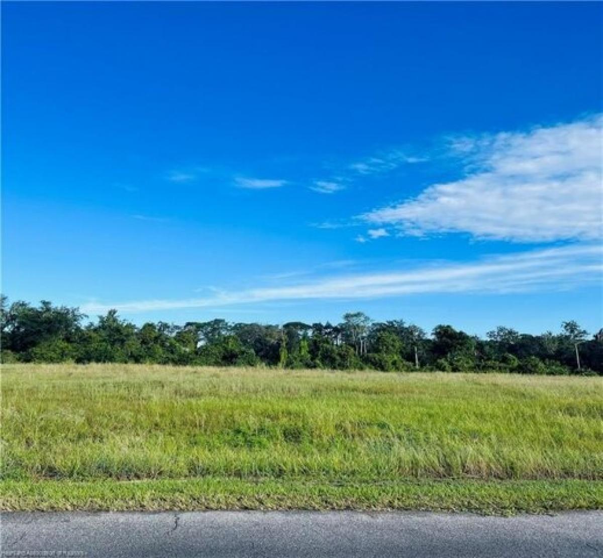 Picture of Residential Land For Sale in Lake Placid, Florida, United States