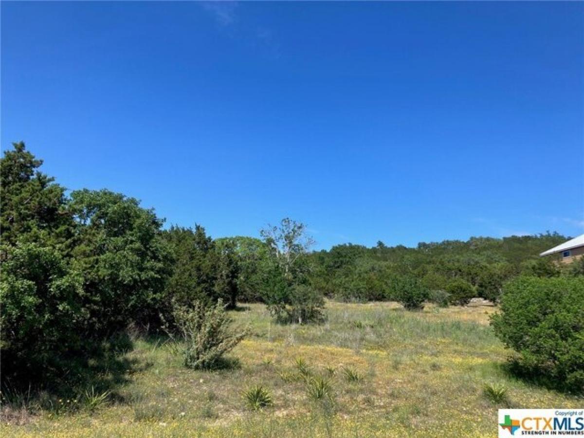 Picture of Residential Land For Sale in Spring Branch, Texas, United States