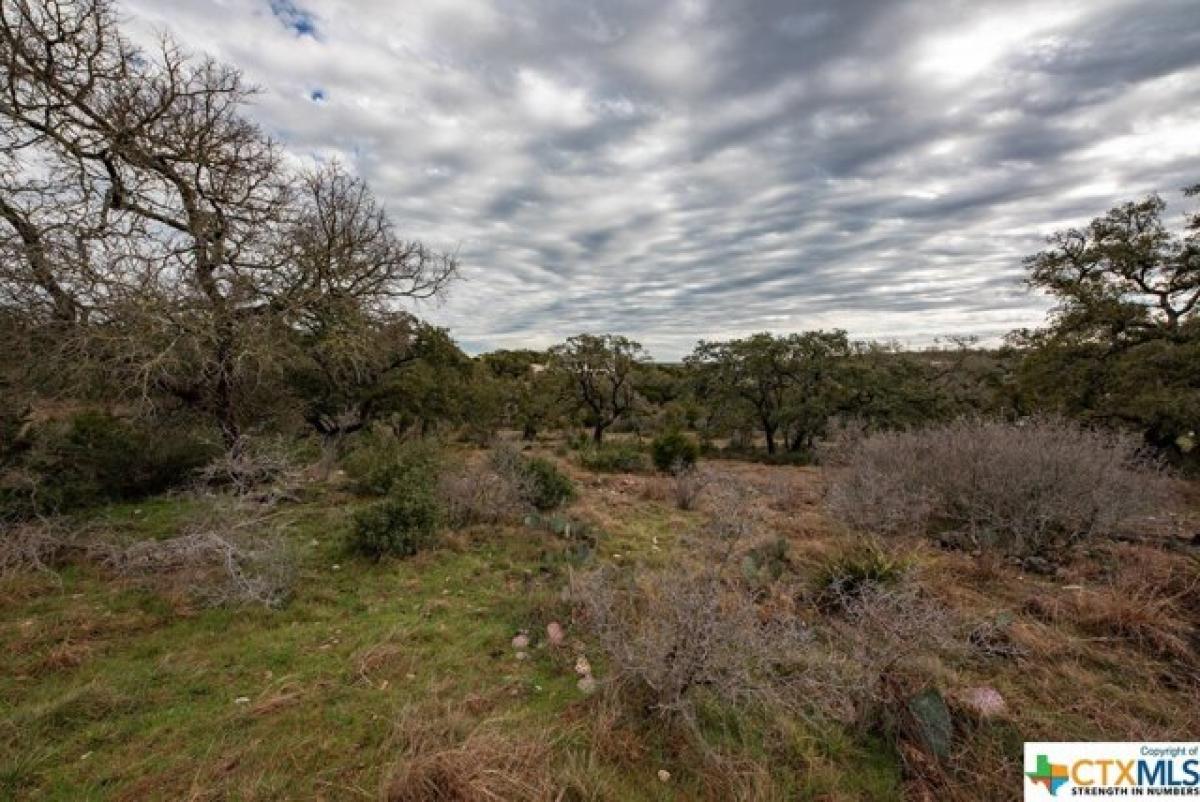 Picture of Residential Land For Sale in New Braunfels, Texas, United States