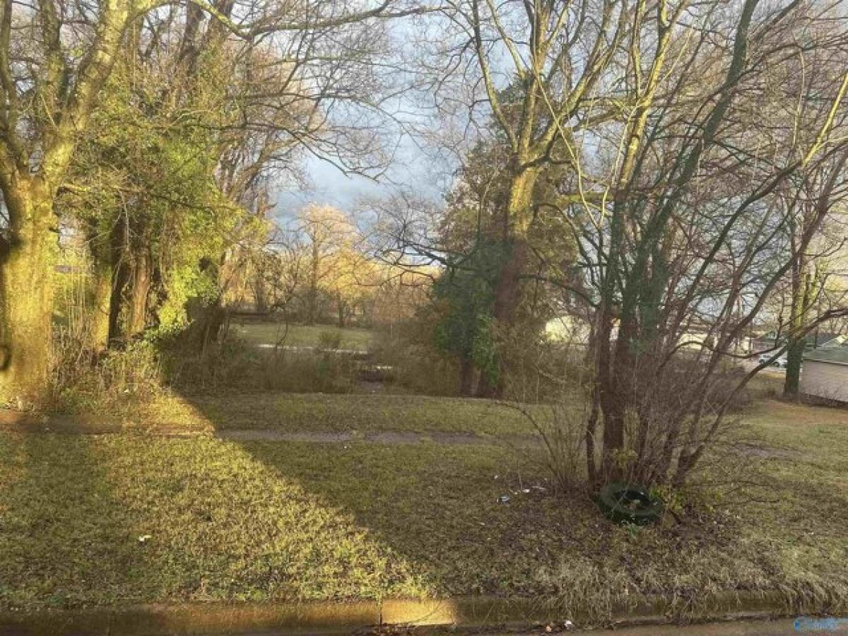 Picture of Residential Land For Rent in Decatur, Alabama, United States