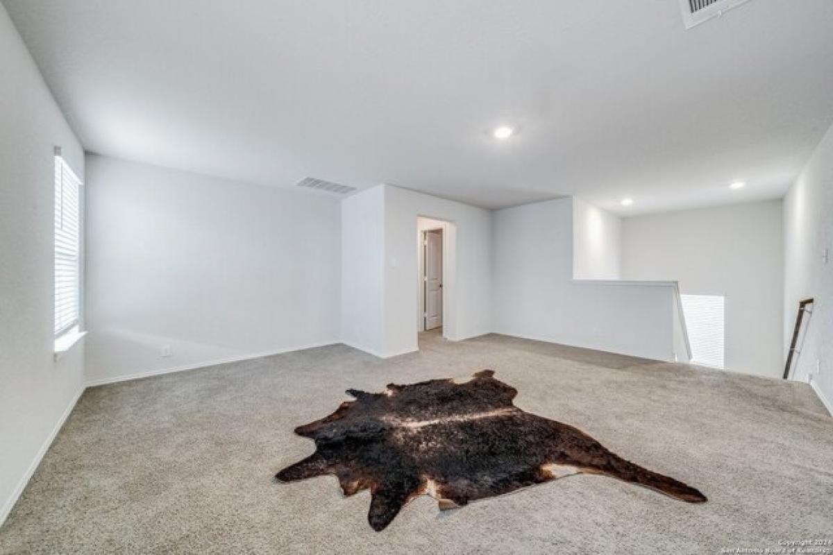 Picture of Home For Rent in Converse, Texas, United States