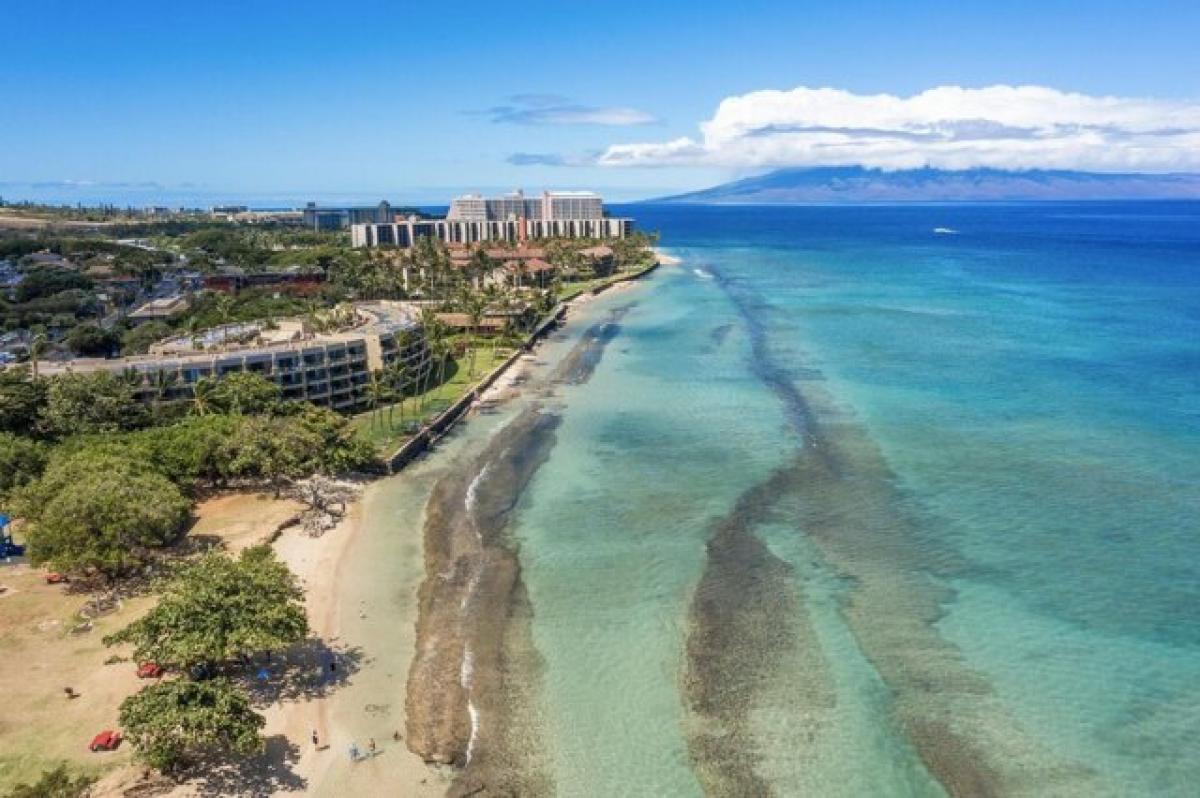 Picture of Home For Sale in Lahaina, Hawaii, United States