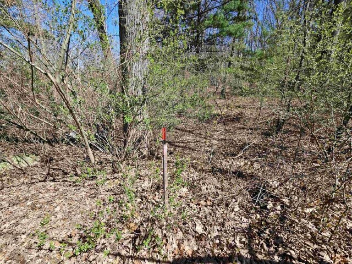 Picture of Residential Land For Sale in Harrison, Michigan, United States