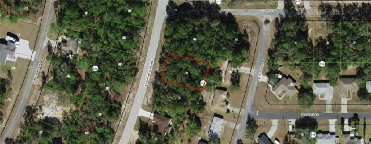 Picture of Residential Land For Sale in Citrus Springs, Florida, United States