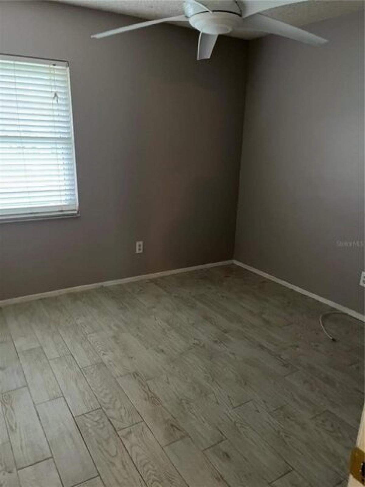 Picture of Home For Rent in Clearwater, Florida, United States