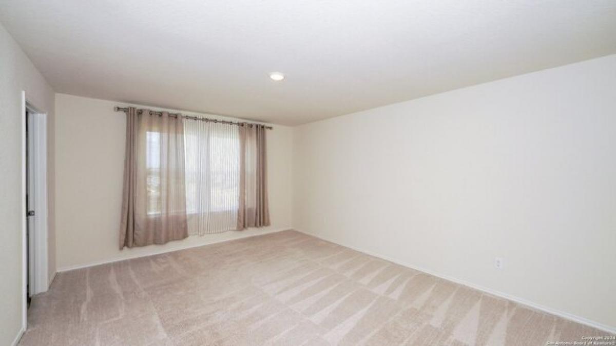 Picture of Home For Rent in New Braunfels, Texas, United States