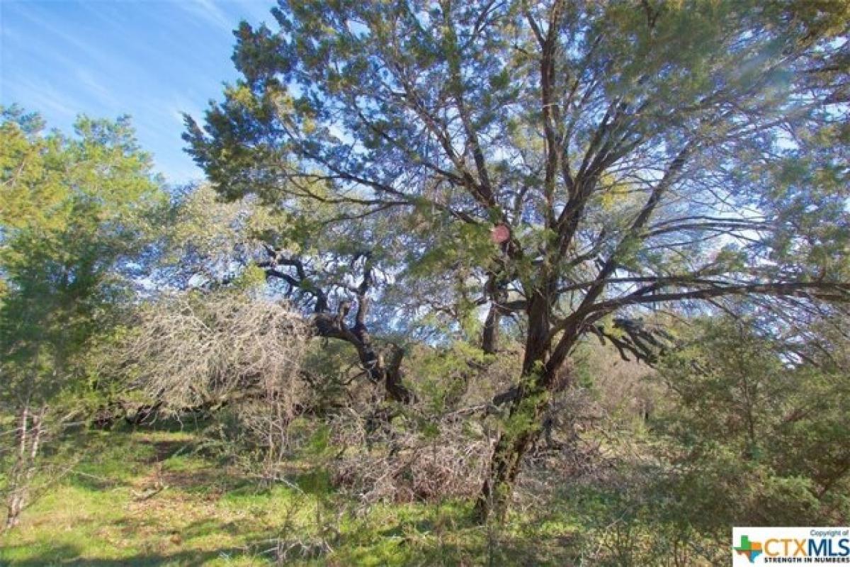Picture of Residential Land For Sale in New Braunfels, Texas, United States