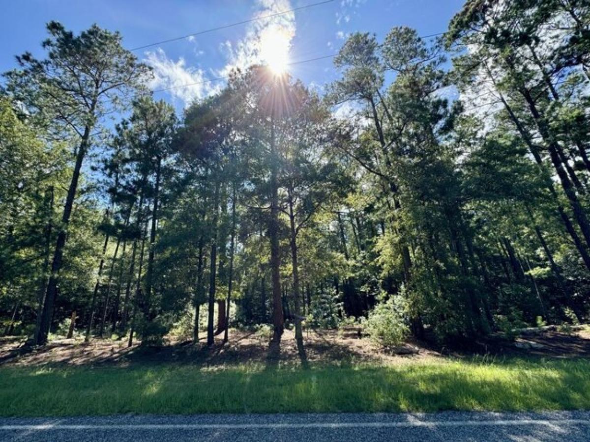 Picture of Residential Land For Sale in Waynesboro, Georgia, United States