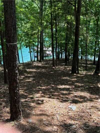 Residential Land For Sale in Sunset, South Carolina