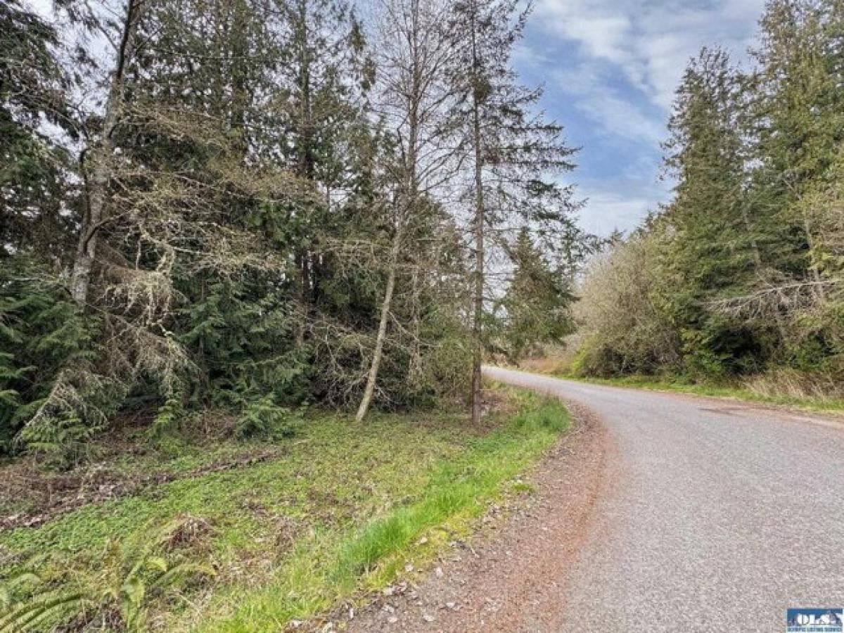 Picture of Residential Land For Sale in Port Angeles, Washington, United States