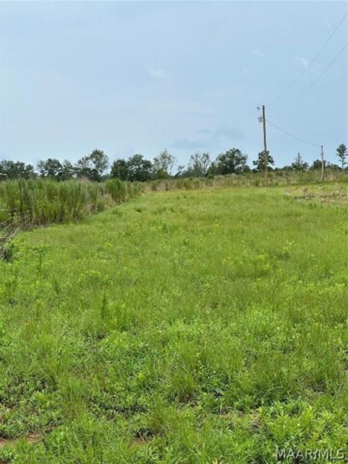 Picture of Residential Land For Sale in New Brockton, Alabama, United States