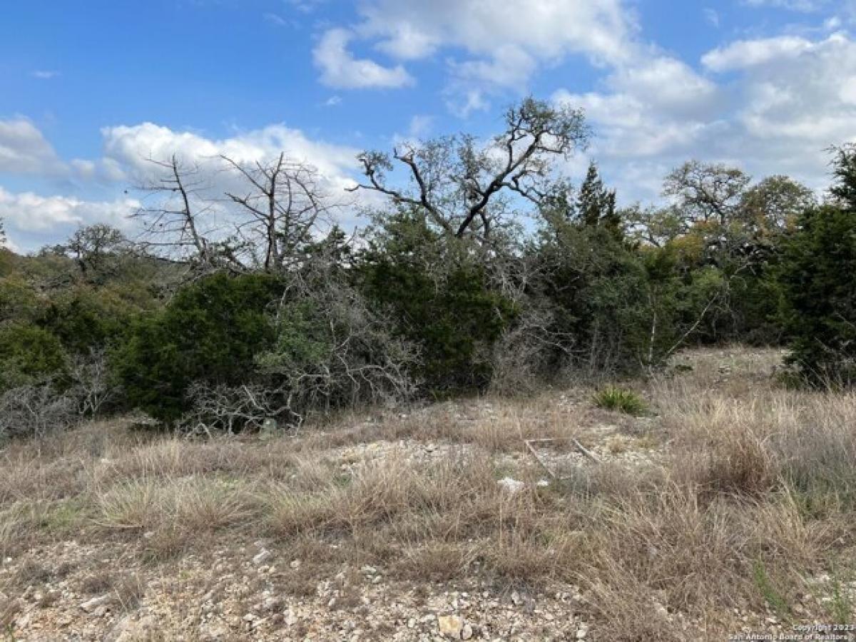 Picture of Residential Land For Sale in New Braunfels, Texas, United States