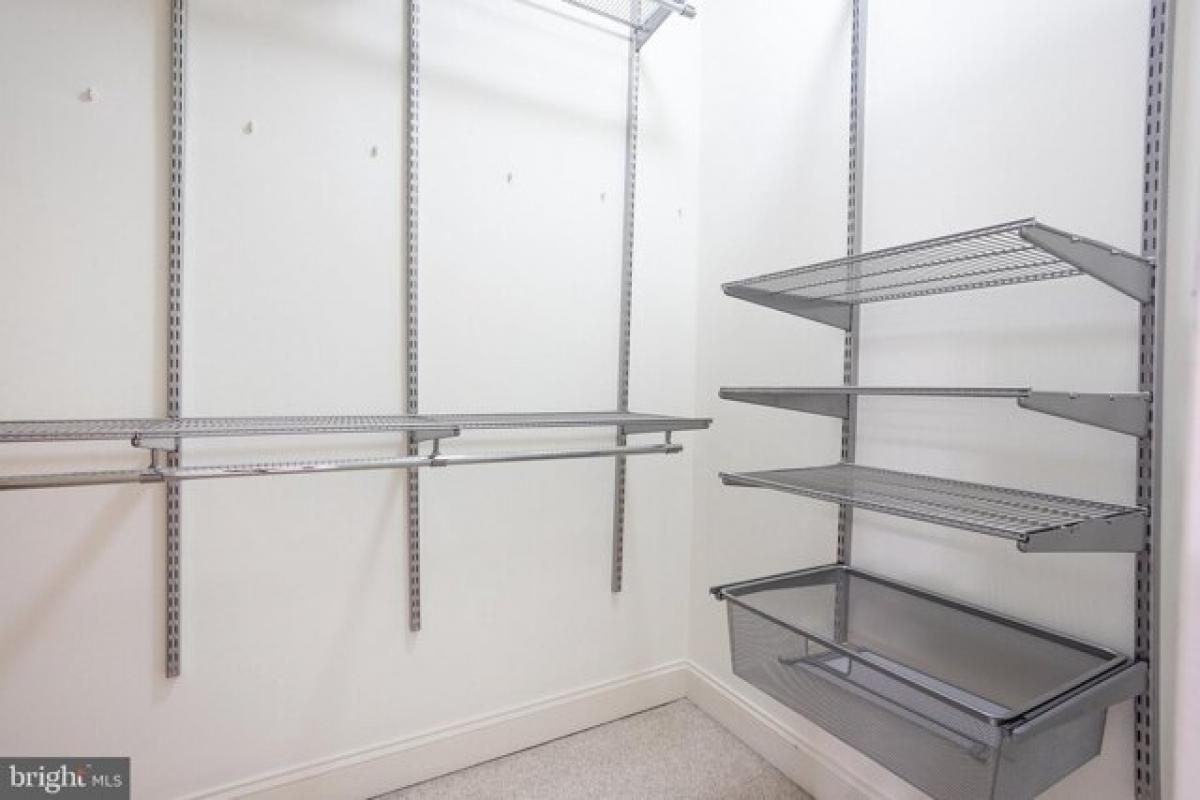 Picture of Home For Rent in Rockville, Maryland, United States