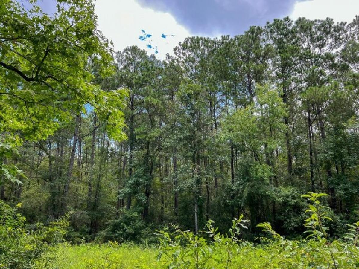 Picture of Residential Land For Sale in Vidor, Texas, United States