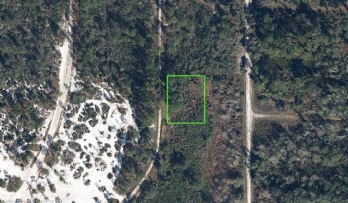 Picture of Residential Land For Sale in Lake Placid, Florida, United States