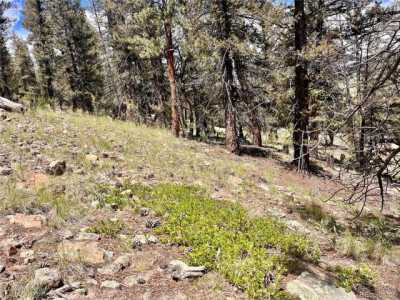 Residential Land For Sale in Fairplay, Colorado