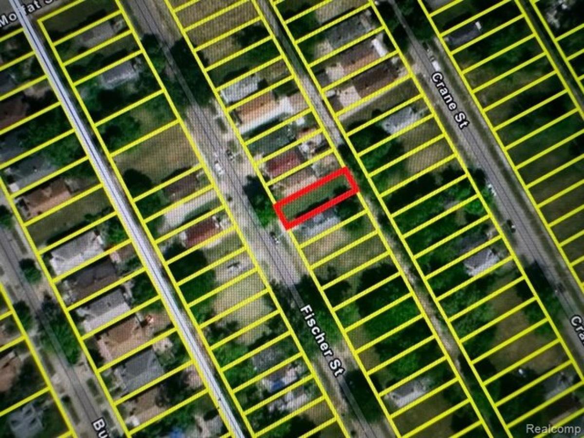 Picture of Residential Land For Rent in Detroit, Michigan, United States