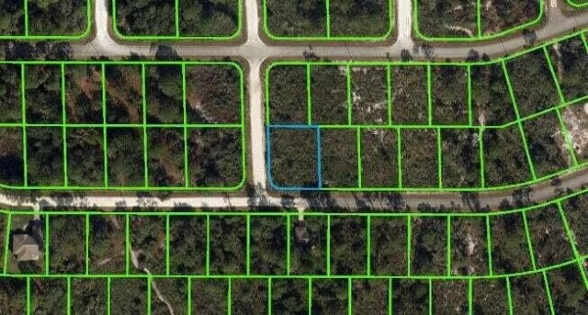 Picture of Residential Land For Sale in Lake Placid, Florida, United States