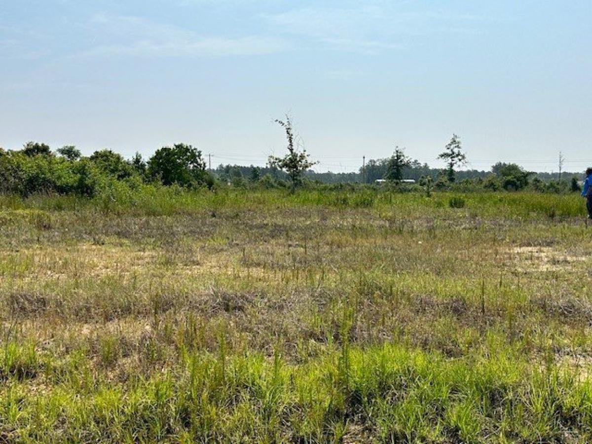 Picture of Residential Land For Sale in Cleveland, Texas, United States