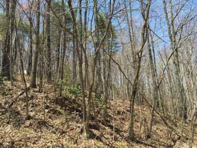 Residential Land For Rent in Sapphire, North Carolina