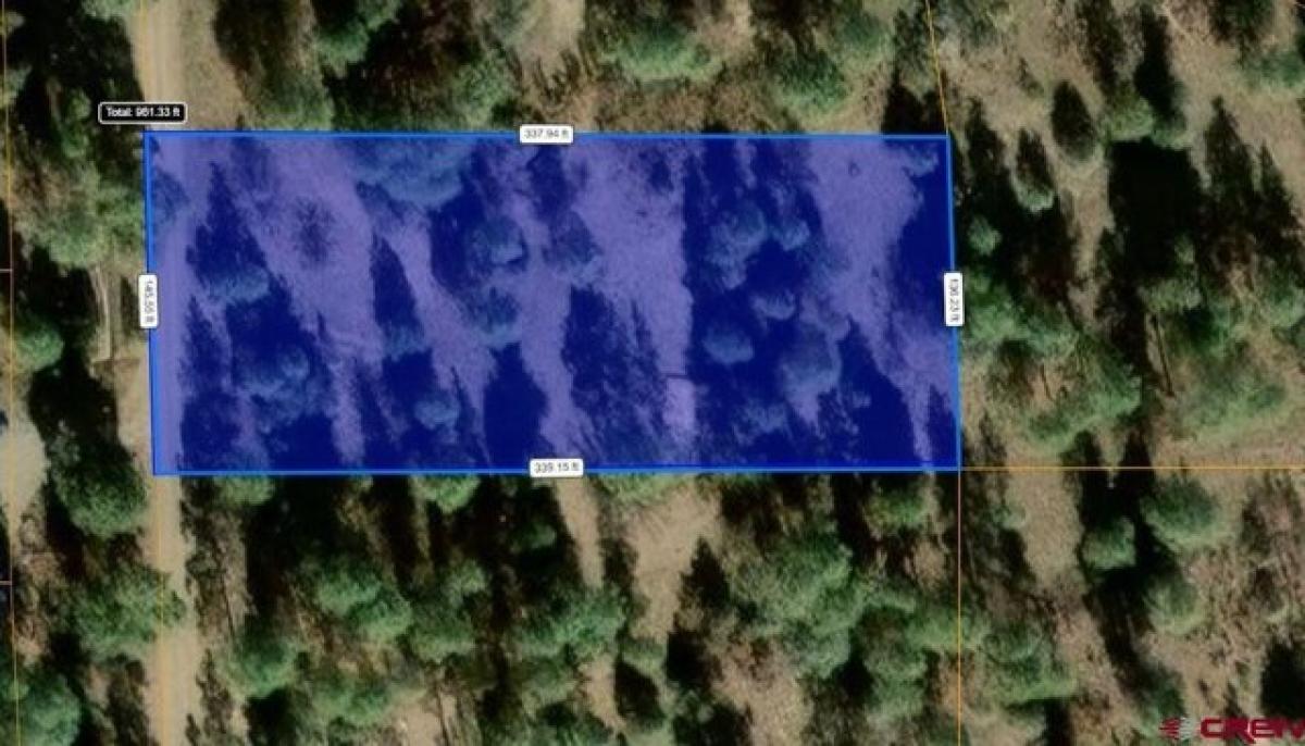 Picture of Residential Land For Sale in Pagosa Springs, Colorado, United States