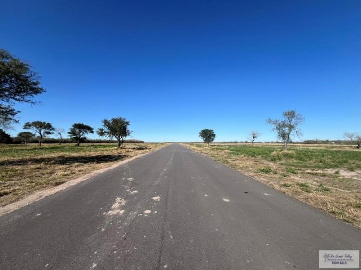 Picture of Residential Land For Sale in Harlingen, Texas, United States