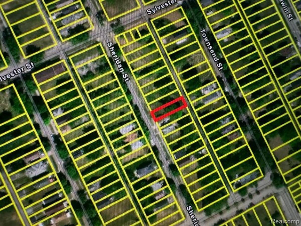 Picture of Residential Land For Rent in Detroit, Michigan, United States