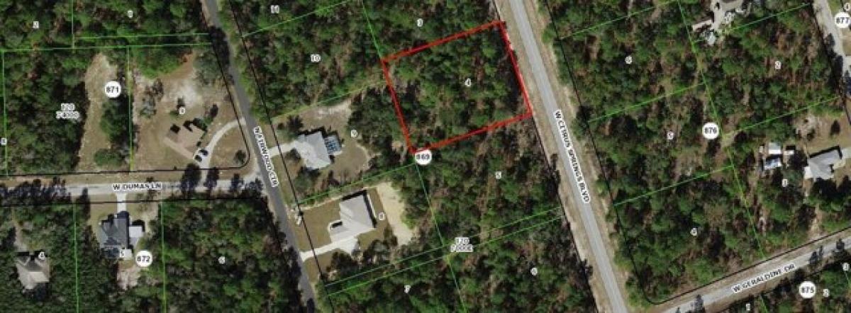 Picture of Residential Land For Sale in Citrus Springs, Florida, United States