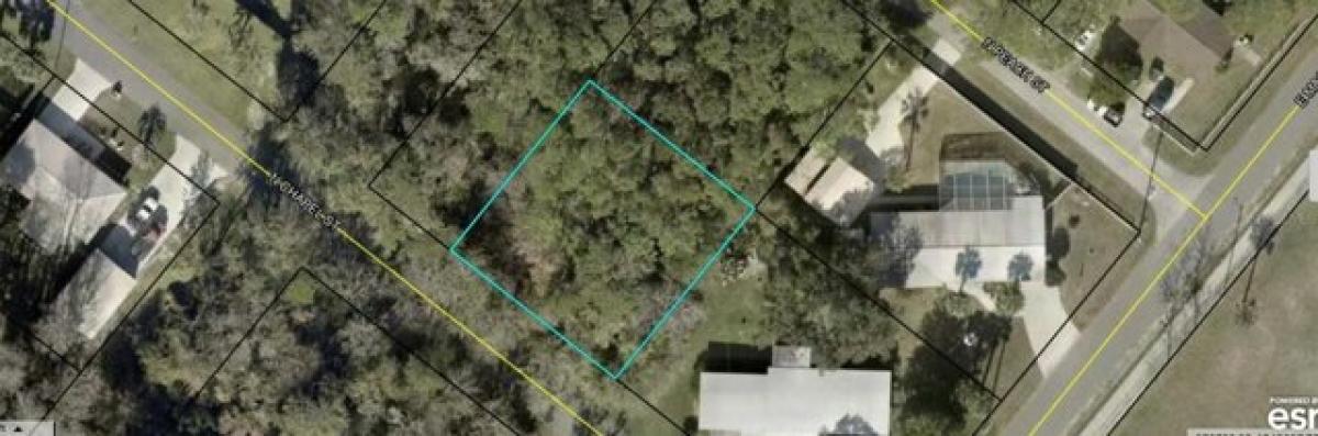 Picture of Residential Land For Sale in Bunnell, Florida, United States