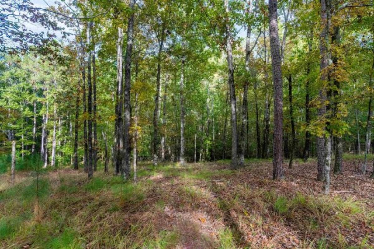 Picture of Residential Land For Sale in Greensboro, Georgia, United States