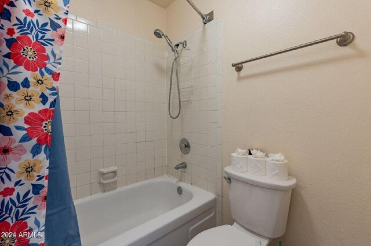 Picture of Apartment For Rent in Scottsdale, Arizona, United States