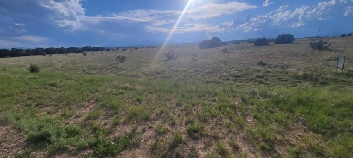 Picture of Residential Land For Rent in Walsenburg, Colorado, United States