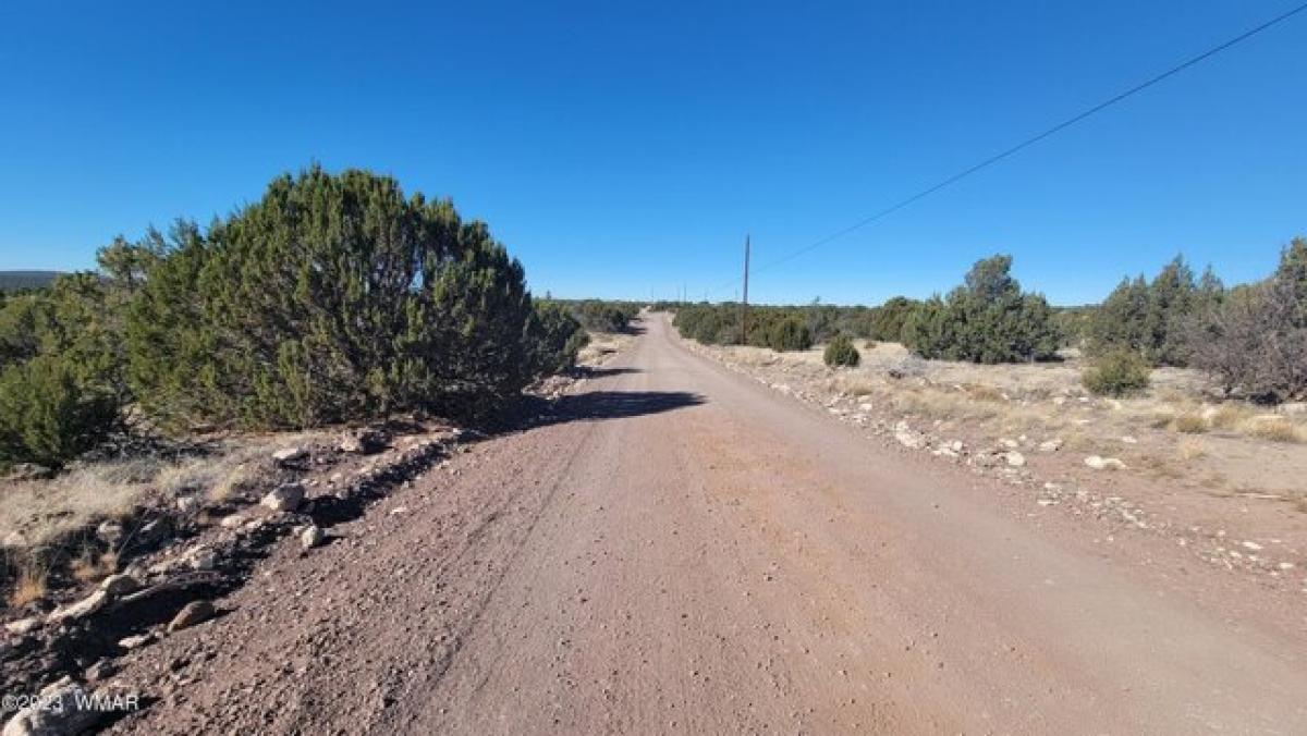 Picture of Residential Land For Rent in Concho, Arizona, United States